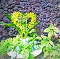 ホームページを公開しました！